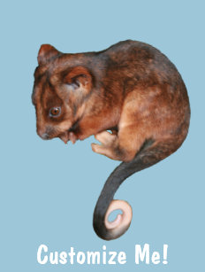 ringtail office school products