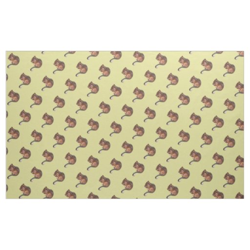 Adorable Baby Ringtail Possum in Australia Fabric