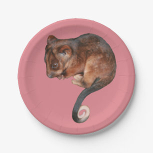 Adorable Baby Ringtail Possum in Australia Paper Plates