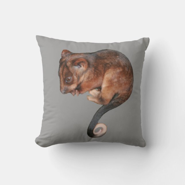 Adorable Baby Ringtail Possum in Australia Throw Pillow (Front)