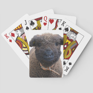 Adorable Babydoll Southdown Sheep Poker Cards