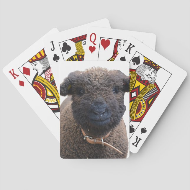 Adorable Babydoll Southdown Sheep Poker Cards (Back)