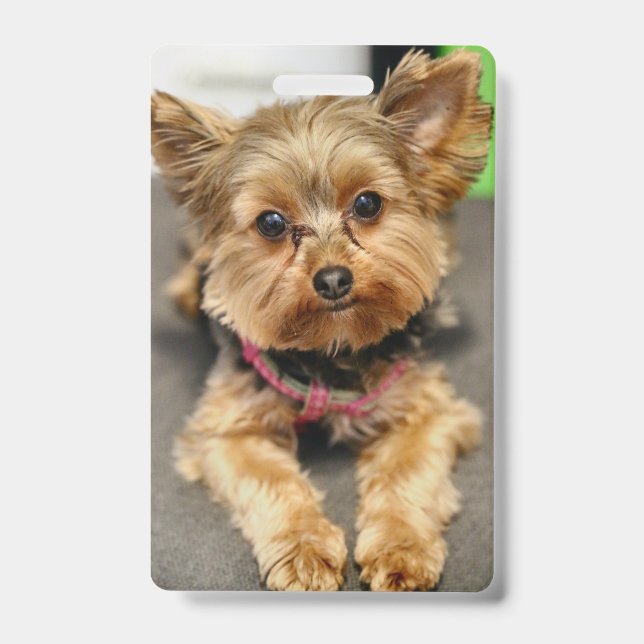 Adorable Badge (Front)