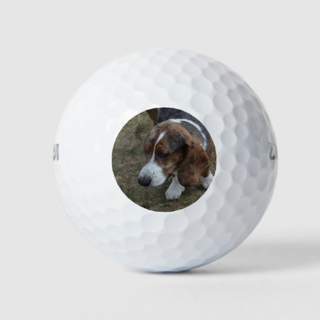 Adorable Basset Hound Golf Balls (Front)