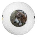 Adorable Basset Hound Golf Balls
