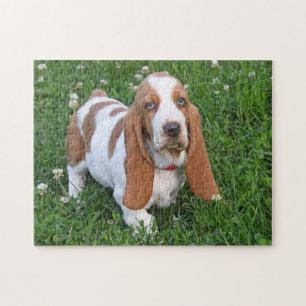 Adorable Basset Hound Puppy Jigsaw Puzzle