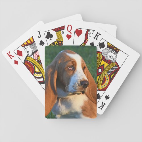 Adorable Basset Hound Puppy Playing Cards