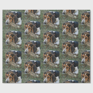 Adorable  Beagle Chewing A Bone Wrapping Paper