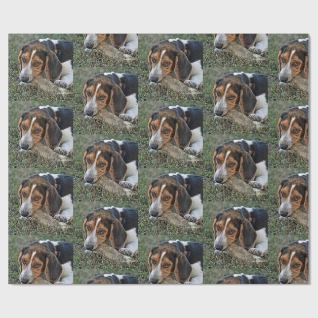Adorable  Beagle Chewing A Bone Wrapping Paper (Flat)