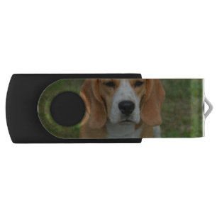 Adorable Beagle Flash Drive