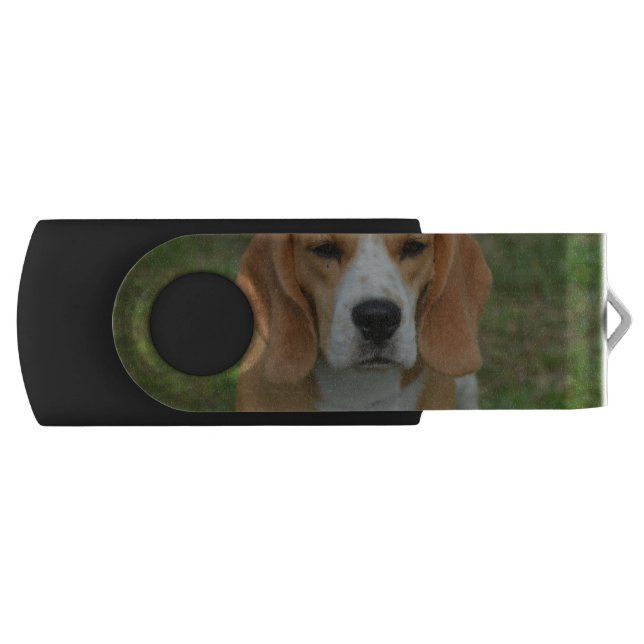 Adorable Beagle Flash Drive (Front)
