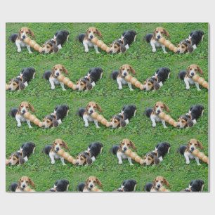Adorable Beagle Puppies Tug Of War Wrapping Paper
