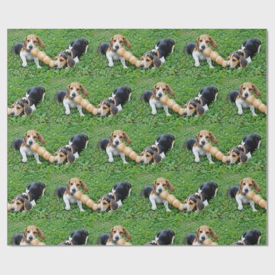 Adorable Beagle Puppies Tug Of War Wrapping Paper