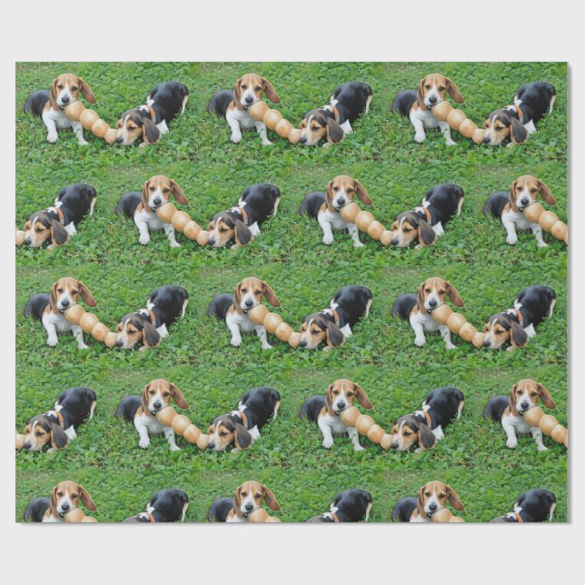 Adorable Beagle Puppies Tug Of War Wrapping Paper (Flat)