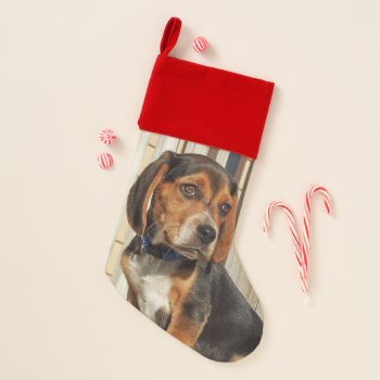 Adorable Beagle Puppy Christmas Stocking by WackemArt at Zazzle