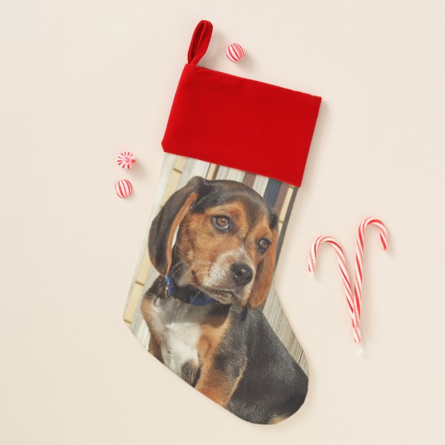 Adorable Beagle Puppy Christmas Stocking (Front)