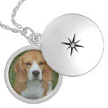 Adorable Beagle Silver Plated Necklace