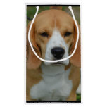 Adorable Beagle Small Gift Bag