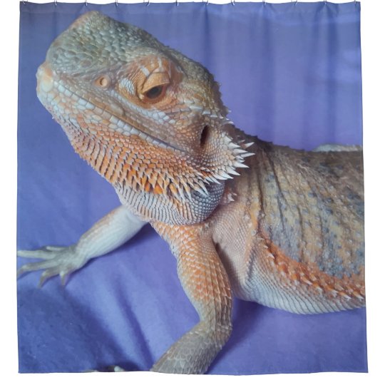 Adorable Bearded Dragon Up Close Picture Blue Shower Curtain Adorable Bearded Dragon Up Close Picture Blue Shower Curtain