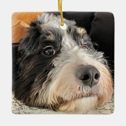 Adorable Bernedoodle Ceramic Ornament