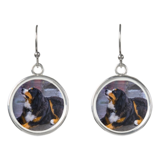 Adorable Bernese Mountain dog earrings (Front)