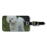 Adorable Bichon Luggage Tag