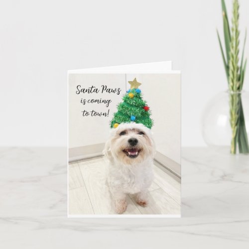 Adorable Bichon Maltese Christmas card Santa Paws