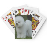Adorable Bichon Poker Cards