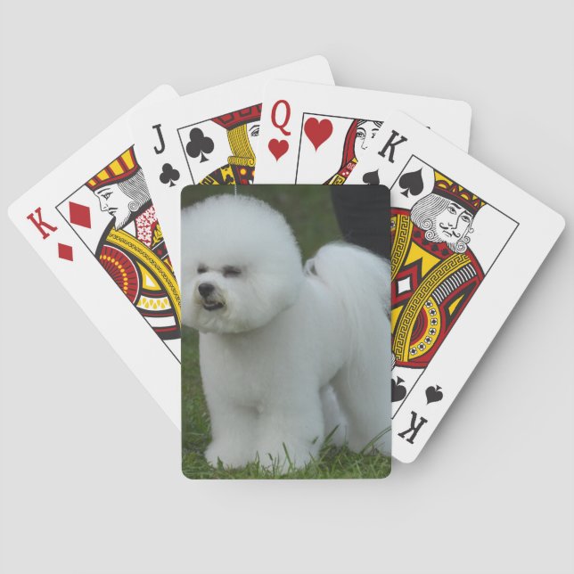 Adorable Bichon Poker Cards (Back)