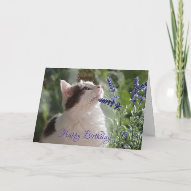 Adorable Birthday Kitten in the Garden! Card (Front)