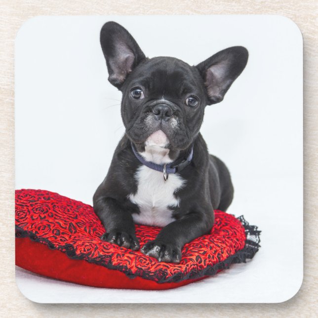 Adorable Black and White Bulldog Puppy Photo Beverage Coaster (Front)