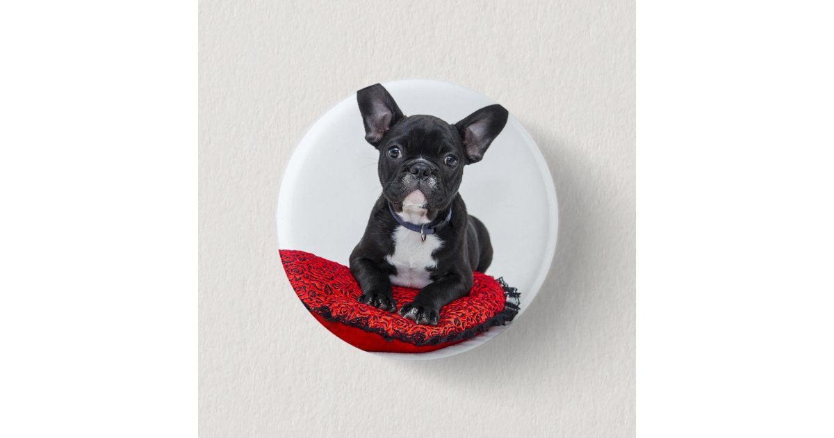 Adorable Black and White Bulldog Puppy Photo Button | Zazzle