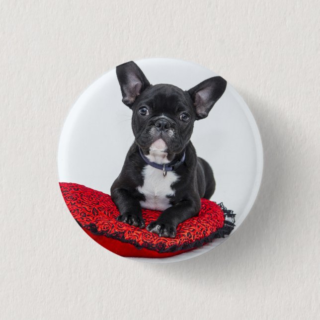 Adorable Black and White Bulldog Puppy Photo Button (Front)