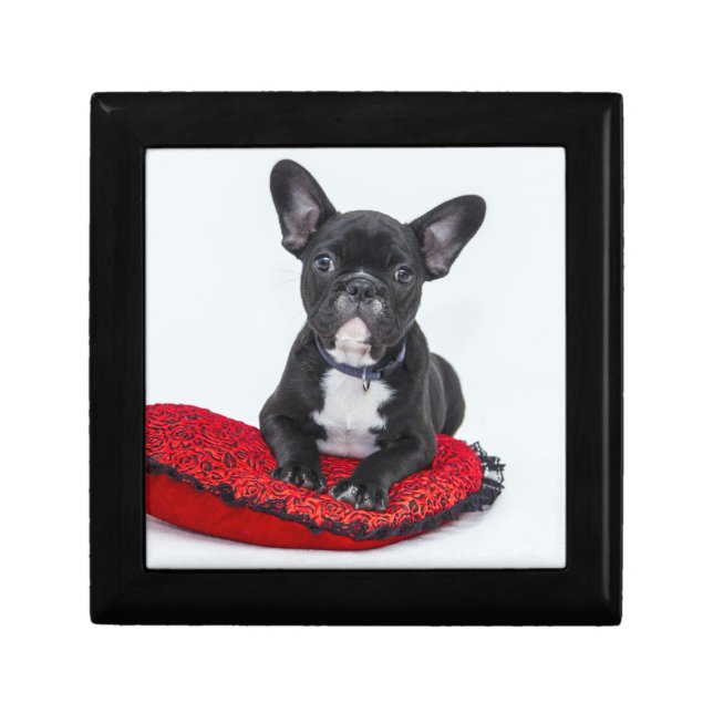 Adorable Black and White Bulldog Puppy Photo Gift Box (Front)