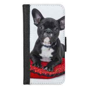 Adorable Black and White Bulldog Puppy Photo iPhone 8/7 Wallet Case
