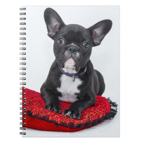 Adorable Black and White Bulldog Puppy Photo Notebook