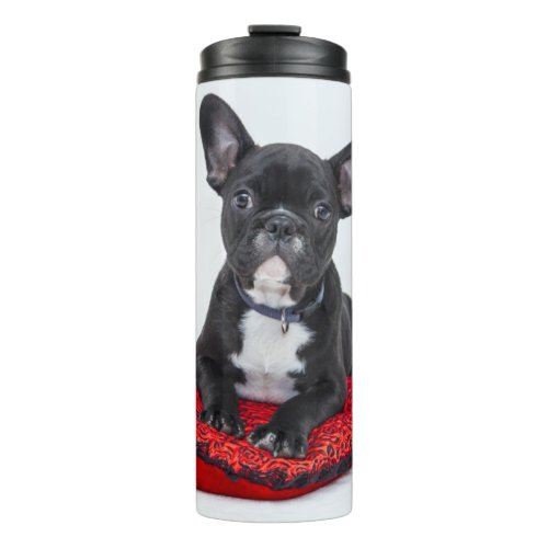 Adorable Black and White Bulldog Puppy Photo Thermal Tumbler