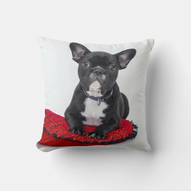 Adorable Black and White Bulldog Puppy Photo Throw Pillow (Front)