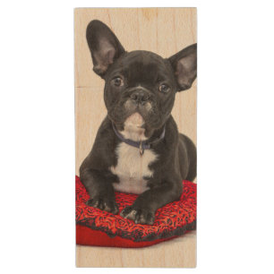 Adorable Black and White Bulldog Puppy Photo Wood Flash Drive
