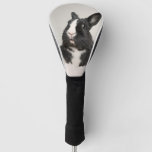 Adorable Black And White Bunny Rabbit Golf Head Cover at Zazzle