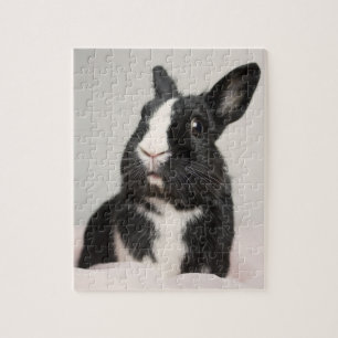 Adorable Black and White Bunny Rabbit Jigsaw Puzzle