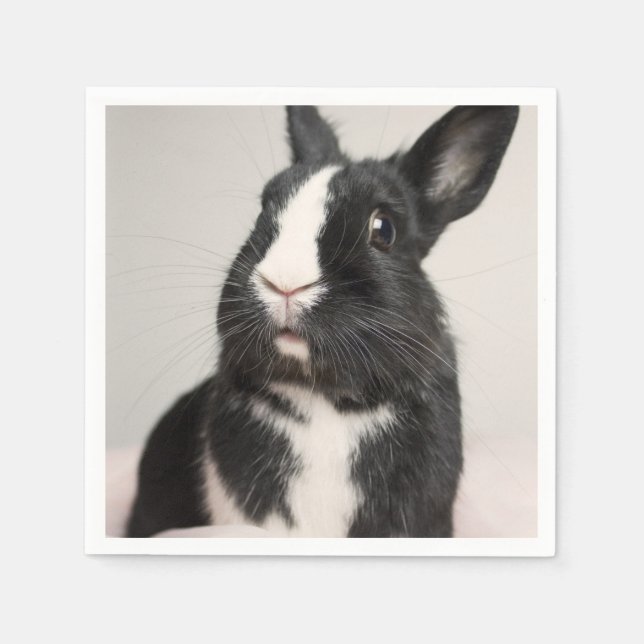 Adorable Black and White Bunny Rabbit Paper Napkins (Front)