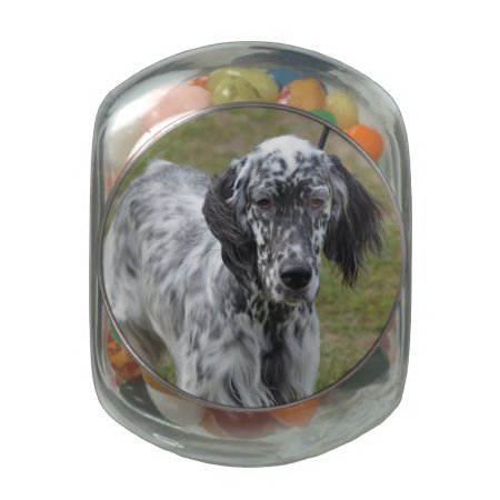 Adorable Black And White English Setter Dog Glass Jar