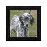 Adorable Black and White English Setter Keepsake Box