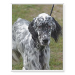 Adorable Black and White English Setter Temporary Tattoos