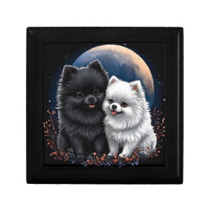 Adorable Black and White Pomeranian Puppies Gift Box