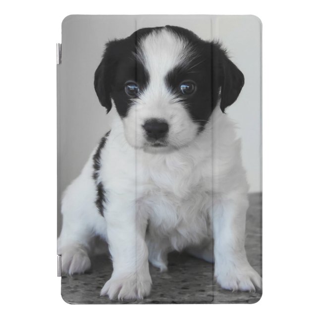 Adorable Black and White Puppy iPad Pro Cover (Front)
