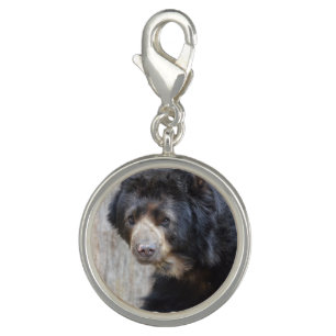 Adorable Black Bear Charm