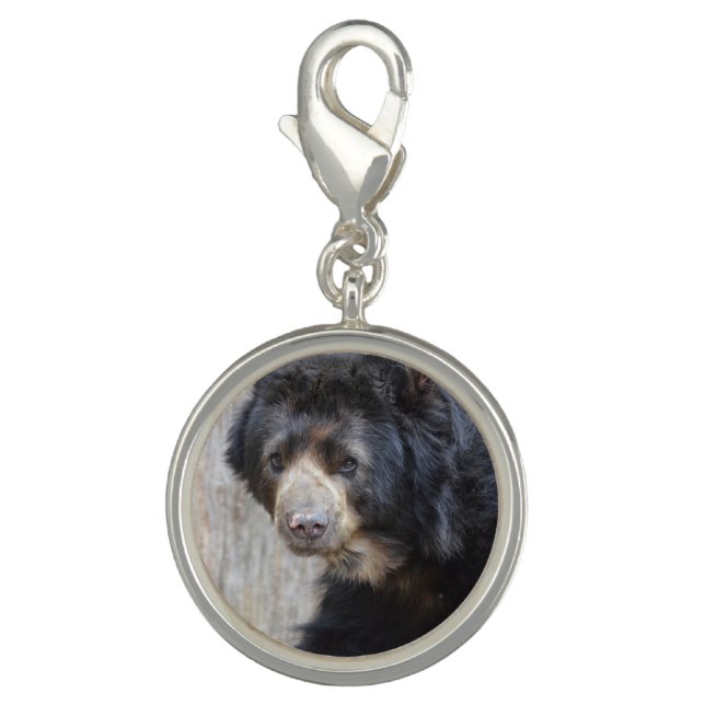 Adorable Black Bear Charm (Front)