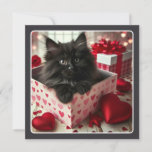 Adorable Black Kitten in Box Funny Valentine  Holiday Card